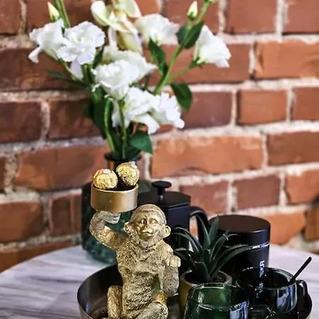 Urban-glam Centre With A Gym And Terrace * Tallinn